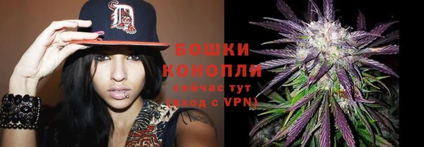альфа пвп Бородино