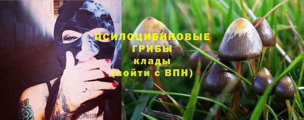 альфа пвп Бородино