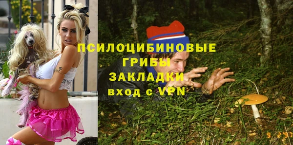 твердый Бугульма